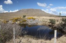 From Galway: Guided tour of Connemara with 3 hour stop in Kylemore Abbey