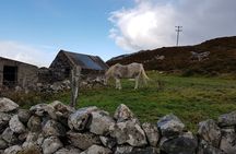 From Galway: Guided tour of Connemara with 3 hour stop in Kylemore Abbey