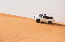 Desert Safari with BBQ Dinner and Landcruiser Pickup