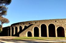 Pompeii Visit with Food and Wine tasting near Mt. Vesuvius