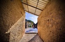 Pompeii Small Group Tour & Food/Wine tasting at Mt. Vesuvius
