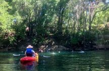 Wekiva River Guided Kayak Tour