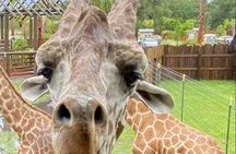 Wild Florida Drive-Thru Safari and Gator Park Admission