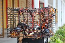 Around Town/Bahamian Cooking Experience