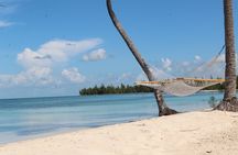 Snorkel/Swim with the Turtles Experience