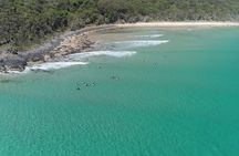 Noosa Thriller Ocean & Dolphin Adventure 