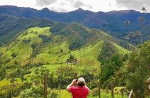 Wax Palms, Salento and Coffee Private Full Day Tour
