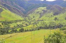 Wax Palms, Salento and Coffee Private Full Day Tour