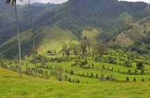 Wax Palms, Salento and Coffee Private Full Day Tour