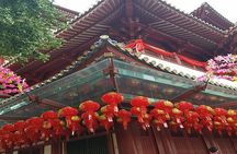 BEST Singapore Private City Tour by an Insider (1/2/3 x full-day)