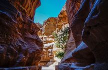 Private Back Trail Tour of Petra starting from the Monastery 