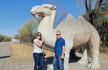 All-inclusive Day Tour to Summer Palace, Ming Tombs & Sacred Path with Lunch