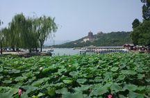 Group Half Day Tour: Panda House and Summer Palace