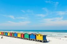 Full Day Table Mountain, Cape Point & Winelands Tour