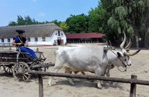 The "Puszta" Horse Show