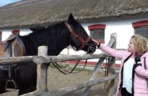 The "Puszta" Horse Show