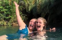 Kikuletwa Hot springs day trip