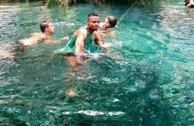 Kikuletwa Hot springs day trip