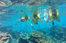 Puerto Plata Shore Excursion, Snorkeling tour & Sosua Beach Day