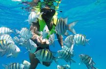 Puerto Plata Shore Excursion, Snorkeling tour & Sosua Beach Day