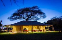 5days Tarangire,Serengeti,ngorongoro Crater and Lake Manyara National park 