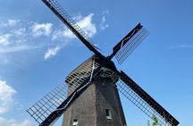 Zaanse Schans Windmills & Zaandam: Countryside Electric Bike Tour