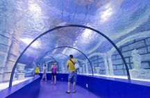 Aquarium & Face2Face Wax Museum from Belek