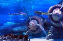 Kemer: Antalya Aquarium Ticket With Optional Transfer