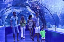 Aquarium & Face2Face Wax Museum from Belek