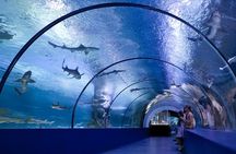 Kemer: Antalya Aquarium Ticket With Optional Transfer