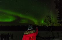 Private Northern Lights 4-hour Hunting