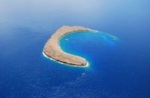 Molokini Crater Snorkeling Adventure
