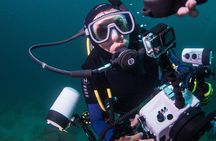 Puerto Vallarta Undersea Private Scuba Diving