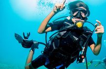 Puerto Vallarta Undersea Private Scuba Diving
