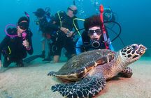 Puerto Vallarta Undersea Private Scuba Diving