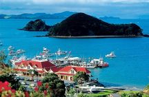 Waitangi Treaty Ground Day Trip Private Transport From Auckland 