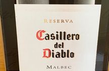 Private Full Day Rafting and Wine From Santiago