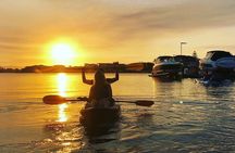Gold Coast: Surfers Paradise Sunset Kayak & Wildlife Tour