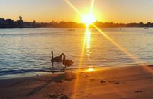 Gold Coast: Surfers Paradise Sunset Kayak & Wildlife Tour