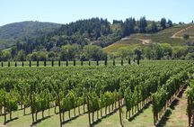 Private, Customized Sonoma Valley Wine Tour