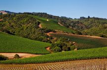 Private, Customized Sonoma Valley Wine Tour