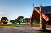 Waitangi Treaty Ground Day Trip Private Transport From Auckland 