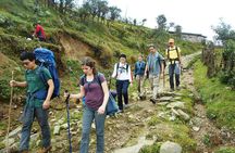 5-Days Singalila Ridge Trek in Darjeeling