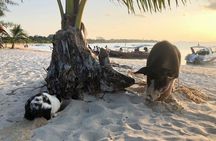 Koh Samui Islands Snorkeling Trip By Speedboat