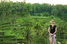 Ubud: Monkey Forest, Jungle Swing, Rice Terrace, and Water Temple