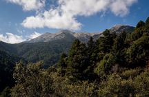 Full-Day Hiking Mount Taygetos Summit with Picnic