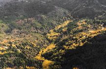 Full-Day Hiking Mount Taygetos Summit with Picnic