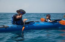 Sea Kayaking in Navarino Bay
