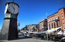 Oslo Highlights and Polar Ship Fram Museum