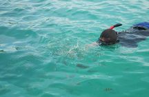 Koh Tan and Koh Madsum Snorkeling Trip By Speedboat From Koh Samui